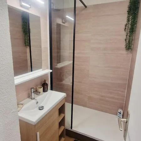 F2 Avec Terrasse Et Vue Lagune Rdc Cap Coudalere דירה לה ברקרה
